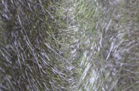 Kirkby Overblow fibreglass roof work